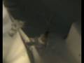 videos de Benjamins hop