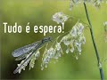 mais um video-poema de dois poetas de almas inquietas...