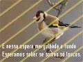 mais um video-poema de dois poetas de almas inquietas...