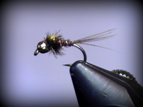 nymph - Continuing the