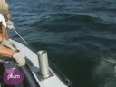 Pete Kaizer and Plum's own, Adam Knee spend a day fishing for tuna.