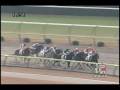 videos de [レースリプレイ] 081115 3福島7 04R