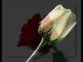 Mustafa Cihad Duha Enes D�et