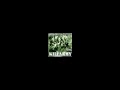 killarmy - clash of the titans. from the album 'silent weapons for quiet wars'