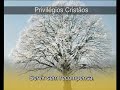 reflexões 4  cristão