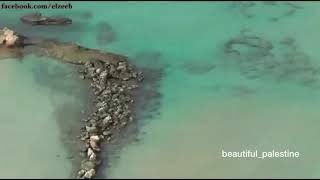 قرية الزيب المهجرة عكا فلسطين ?? قرية الزيب المهجرة عكا فلسطين ??