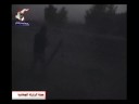 zalzala tikret ????? ???????? ?? ?????? zalzala tikret ????? ???????? ?? ??????