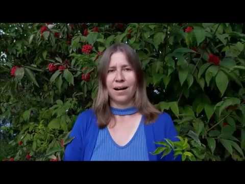 video-show