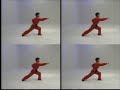 Grandmaster Zhang Tan tui  RS-0420