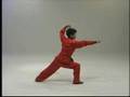 Grandmaster Zhang Tan tui RS-0420