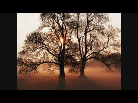 YUG BEET GAYE -DALER MEHNDI