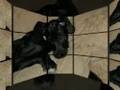 videos de My Pets