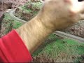 Model Railroad Scenery using Extruded Foam: Part 9 - HQ Model Railroad Scenery using Extruded Foam: Part 9 - HQ