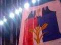 basel pyro show