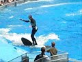 SHAMU - BELIEVE SHAMU - BELIEVE