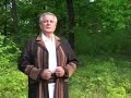 Traian JURCHELA-NUI IN LUME Traian JURCHELA-NUI IN LUME