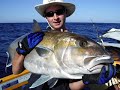 Jigging Samsonfish