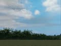 ArmA: Startled birds 2 ArmA: Startled birds 2