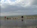 Big waves in San Sebastian part 2