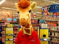 Toys r us Manele-Gratis.net