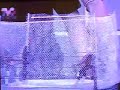 lucha en jaula  infierno en el ring 2007 