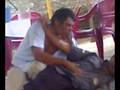 los ridiculos de bacheo