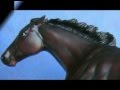 My Breyer Race Horse Collection