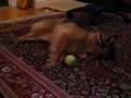 video uploaded by jnail78