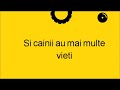 Si cainii au mai multe vieti