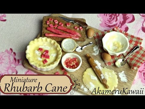 how to set rhubarb