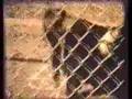 - MovieZen Video
