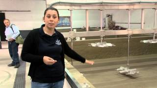 GlobeTrotter Jon Haggins TV in Douro Valley, Portugal