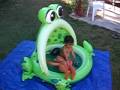 videos de In the Froggie pool