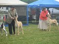 More Starlett and class from Ohio 6-21-08