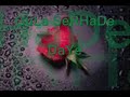 Gula Serhade Daye