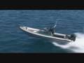 Naiad in action