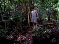videos de mondika camp 5