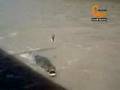 crocodile opration 2