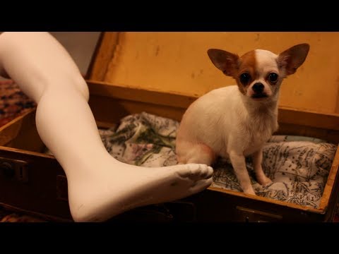 landmark - Landmark 105 - Moving On (Official music Video) http://landmark105.com Download Moving On op iTunes: https://itunes.apple.com/nl/album/moving-on-single/id588...