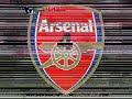 Tomas Rosicky 2007/08