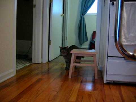 scrabble words scrabble words