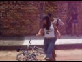 zimbados e mordidos