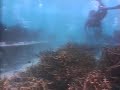 Fale mais alto - Mude a mudança climática