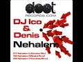 Dj Ico&Denis - Nehalem (Mitaka Remix)
