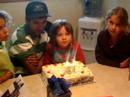 Tigers Birthday