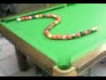 amazing snooker plant 2