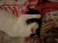 videos de video ritinha.MPG