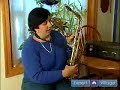 Saxophone fingering is as important as breathing to play different notes on a sax; learn how fromour expert sax player in this free sax video music lesson. Expert: Leslie Burnick Contact: www.CCCBand.org Bio: Leslie Burnick graduated from Auburn University in Alabama with a degree in music education. She has also taught all levels of band and orchestra in public and private schools. Filmmaker: James HECK