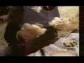 Enigma Return to Innocence - Legendado