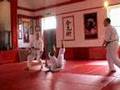 Ninindori (multiple attackers)